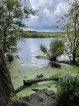 View over lake in Delamere Forest